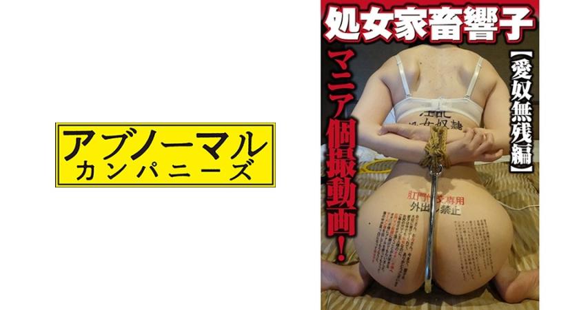 Virgin ●● Kyoko [Lovely Slave Chronicles]