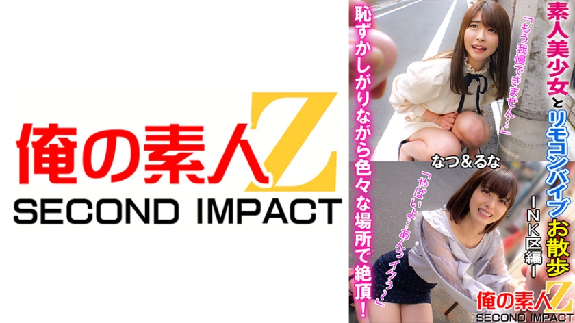 Garota amadora e vibrador remoto passeando - Capítulo da região NK - 