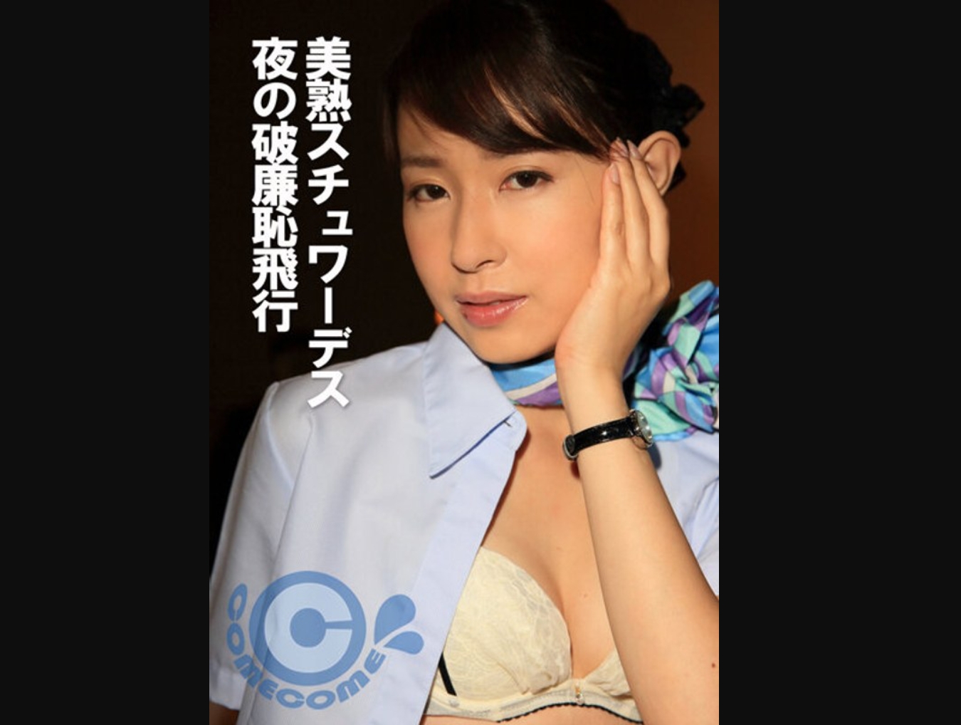 美熟スチュワーデス 夜の破廉恥飛行