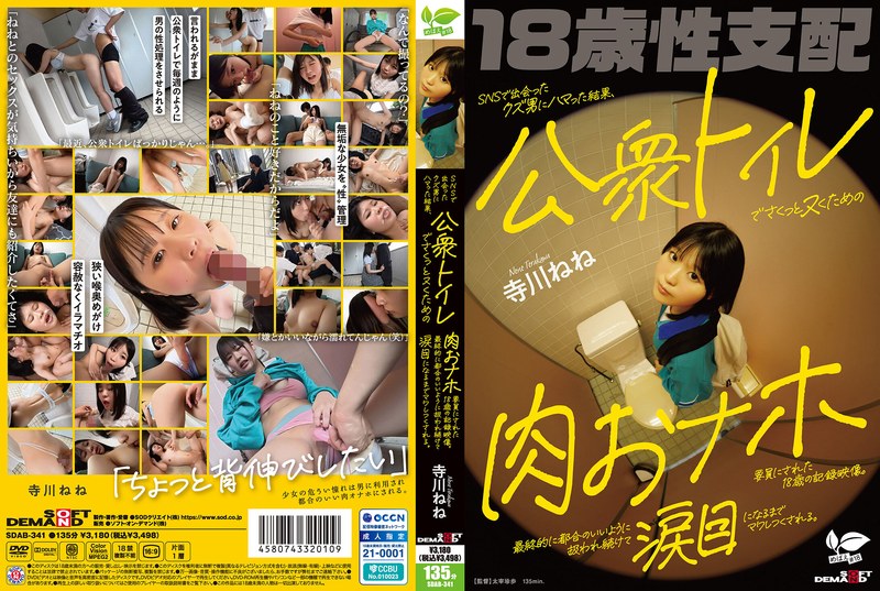 SNSで出会ったクズ男にハマった結果、公衆トイレでさくっとヌくための肉おナホ要員にされた18歳の記録映像。最終的に都合のいいように扱われ続けて涙目になるまでマワしつくされる。 寺川ねね