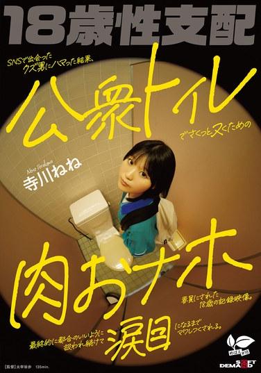 วิดีโอที่บันทึกเหตุการณ์ของหญิงสาวอายุ 18 ปี ที่ตกหลุมรักชายเลวที่เธอรู้จักผ่านโซเชียลมีเดีย และถูกใช้เป็นของเล่นทางเพศในห้องน้ำสาธารณะ เธอถูกใช้และถูกทำร้ายจนร้องไห้ (เทราคาวะ เนเนะ)