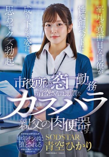 อาโอโซระซัง ผู้ทำงานอยู่ที่เคาน์เตอร์ศาลากลาง เป็นทาสทางเพศของชายชราใจร้ายและโหดเหี้ยม การเห็นเพื่อนร่วมงานที่ซื่อสัตย์และธรรมดาของฉันถูกลดสถานะเป็นสัตว์เลี้ยงทางเพศ ทำให้ฉันซึ่งเป็นคนเลว เกิดอารมณ์ทางเพศขึ้นมา อาโอโซระ ฮิคาริ