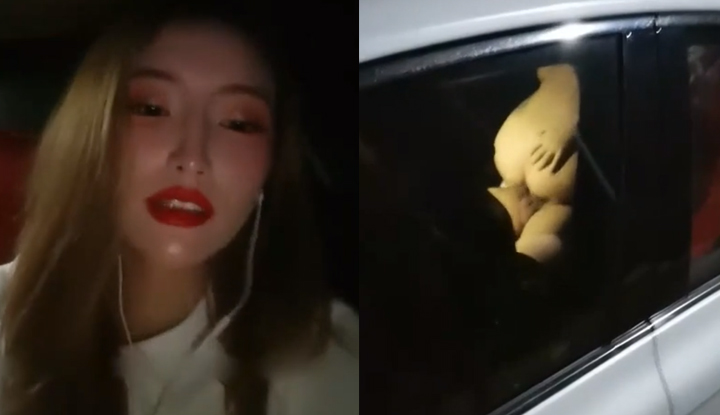 Beautiful girl gets fucked by a big man in the car.