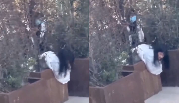 Internet exposure door incident in broad daylight the young couple made it in a vase