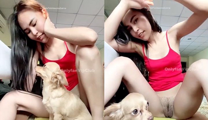 [Thailand] The dog accidentally made me expose my little hole.