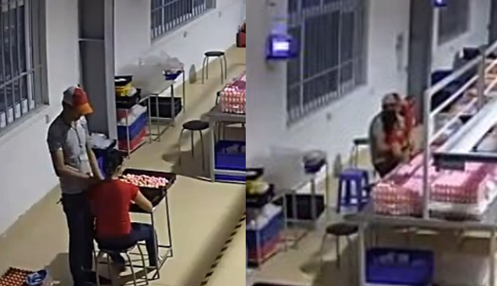 Regras não ditas do chefe da fábrica em 3 segundos