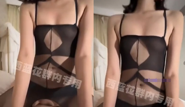 Twitter sifu, kacau kacau kau atas batang besar