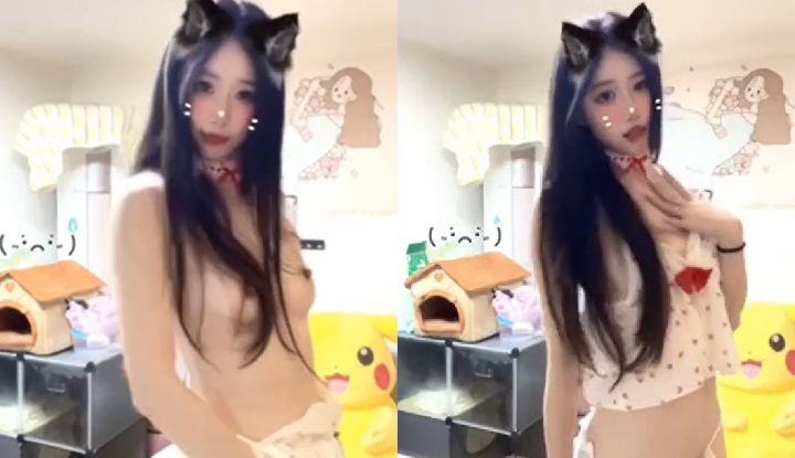 有沒有人要領養這隻會跳舞的小騷貓呀～