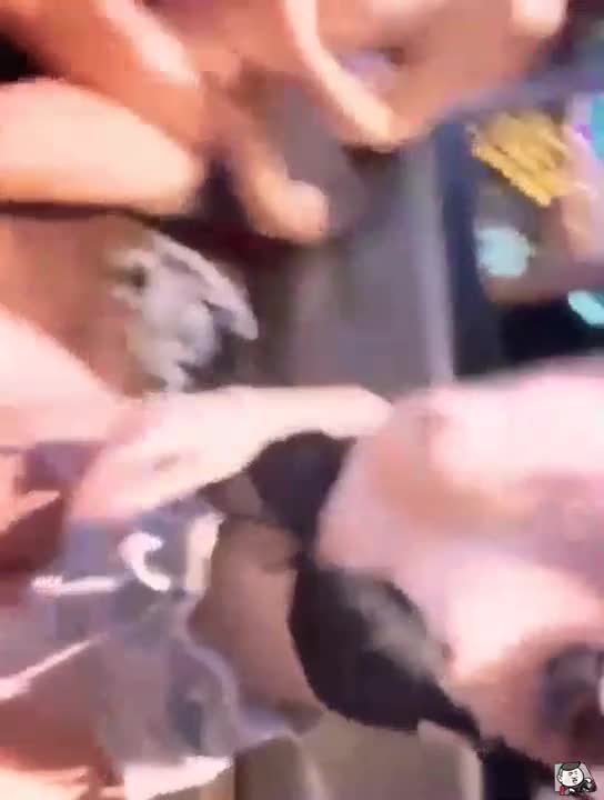 知名KTV頂級包廂幹砲