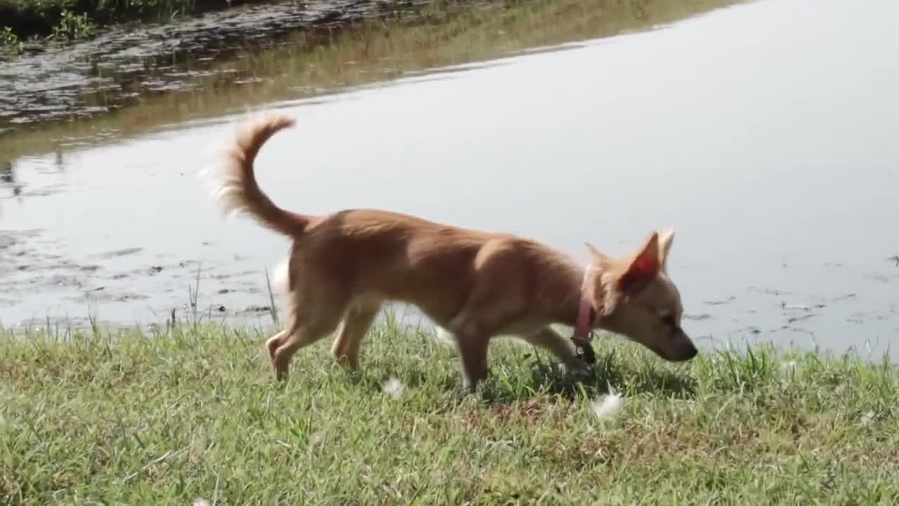 (เกย์) Naked Sword - The Gay Simple Life [2020]