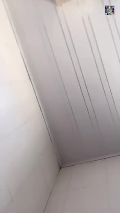 (Live) Line Move 13 (158)