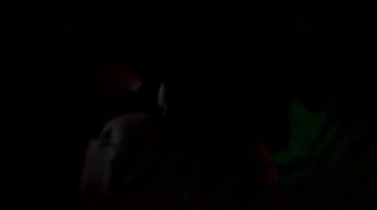 E-Nang 2011 full movie R Thai XXX Piyaporn Phumpuang, Ban Na to Fairy Girl